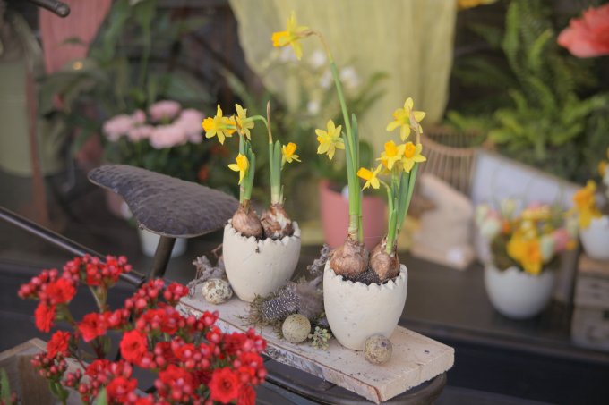 Pâques approche à grands pas ! photo 8